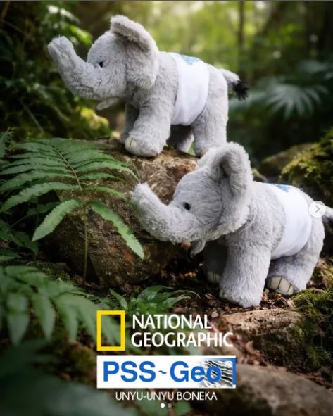 National Geographic Elephant